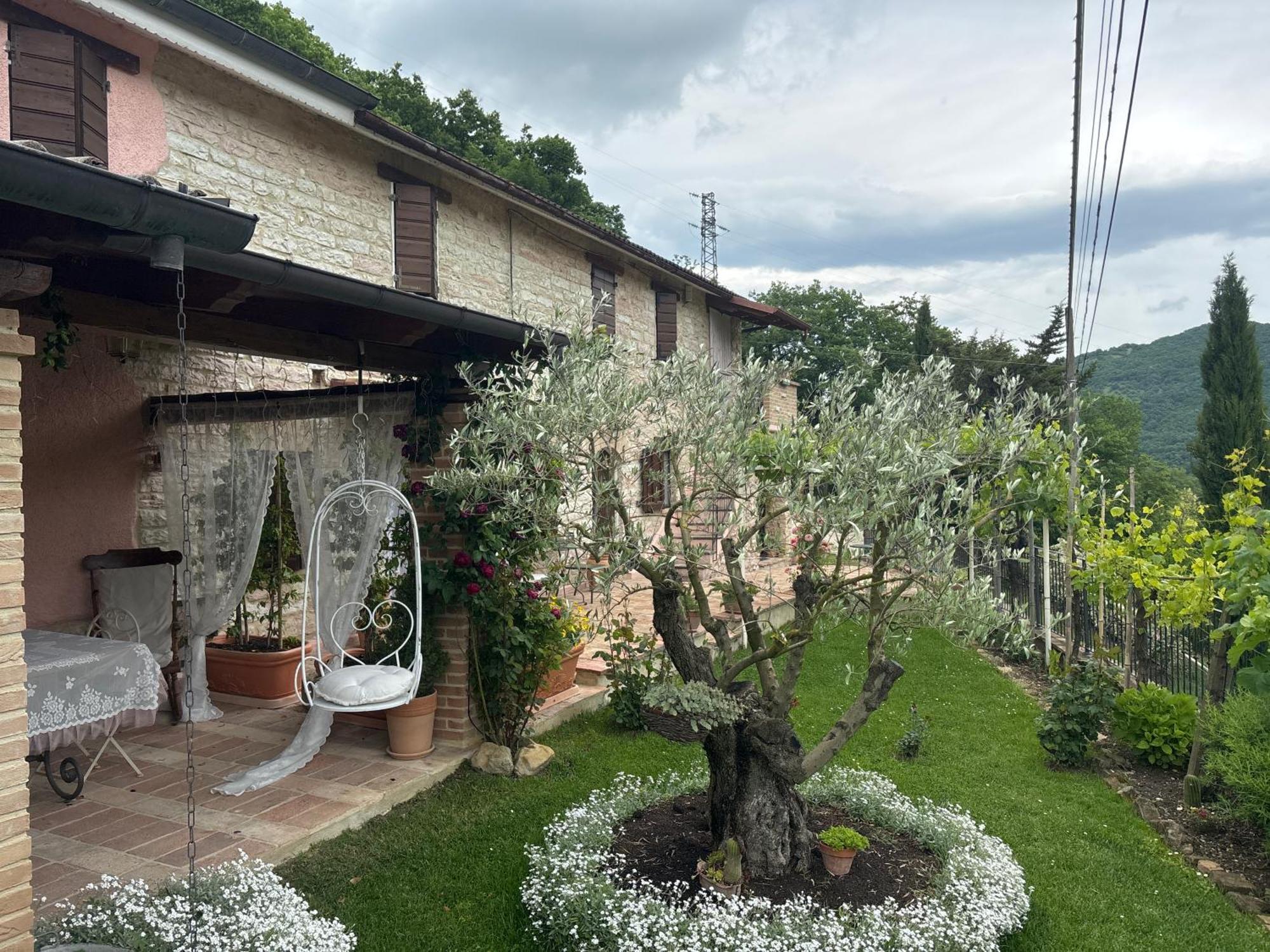 B&B Il Poggetto Serra Sant'Abbondio Exterior photo